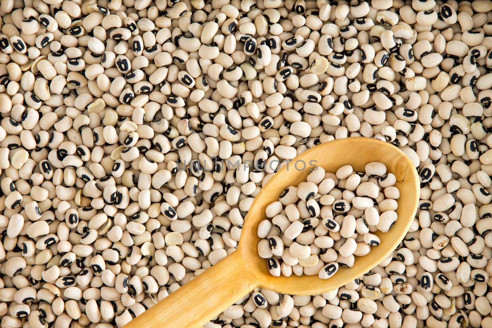 Full frame background of black-eyed beans by coskun