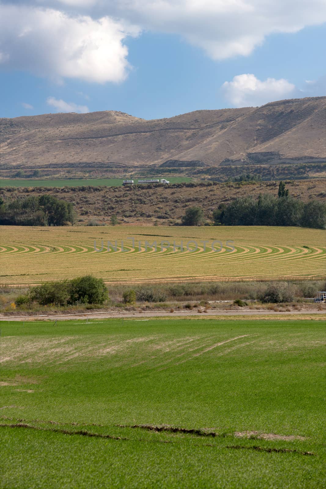 Farmland with irrigated fields and crops with a center pivot irrigated field at the foot of a rolling mountain range showing the curved planting system