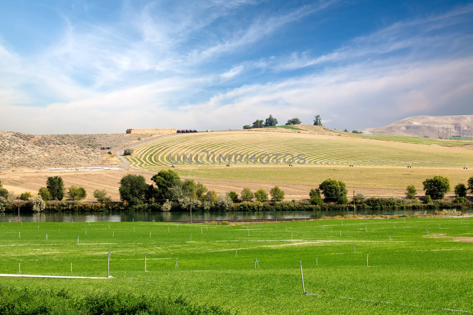 Farmland with one field being watered by center pivot irrigation in the background versus a second green field with sprinkler irrigation in the foreground in a scenic rural landscap