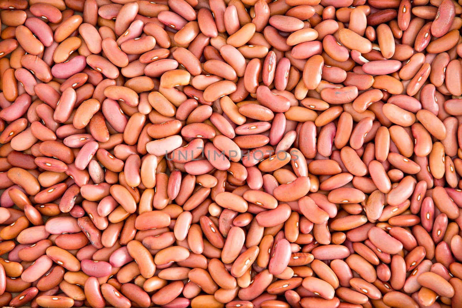 Close up Plenty of Light Red Dry Kidney Beans for Wallpaper Backgrounds, Captured in High Angle View.