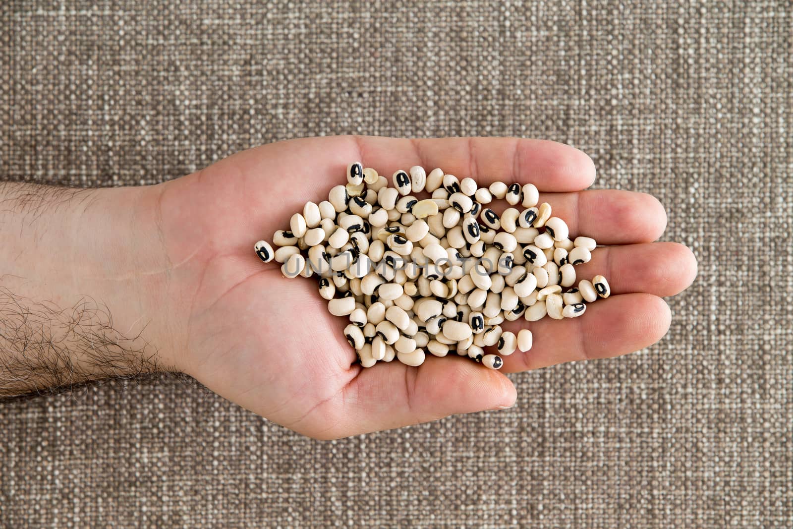 Man displaying a handful of black-eyed beans by coskun