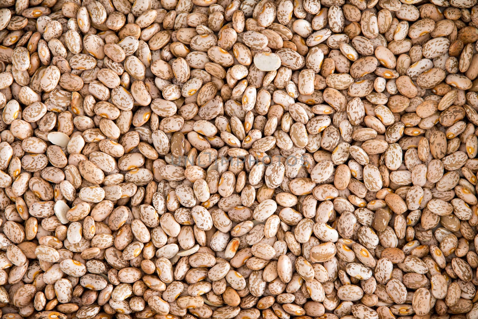 Healthy Brown Pinto Beans for Wallpaper Background by coskun