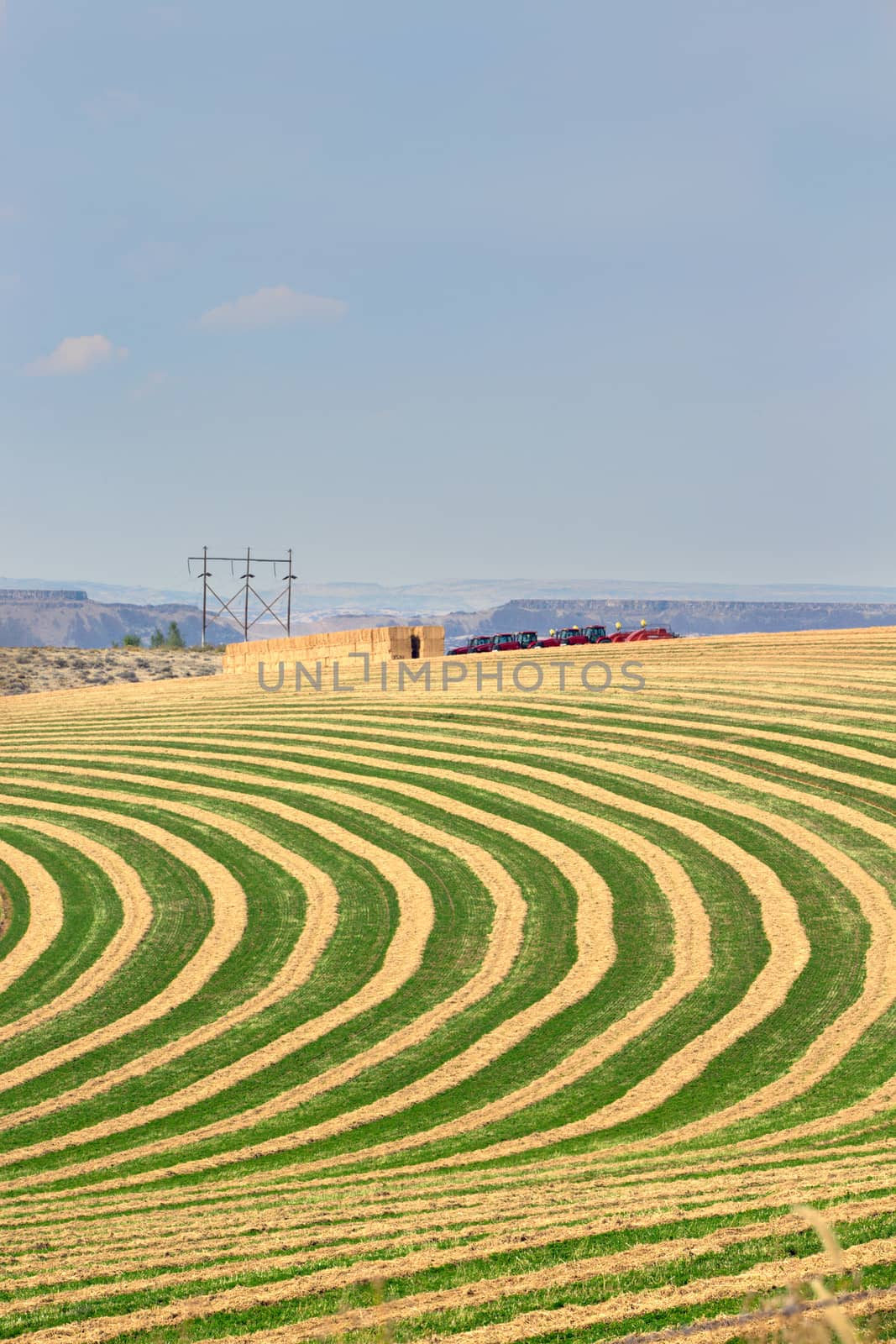 Center pivot irrigated farm field showing the alternating rows of planting to allow for the rotation along the circular lines of the wheeled sprinkler system