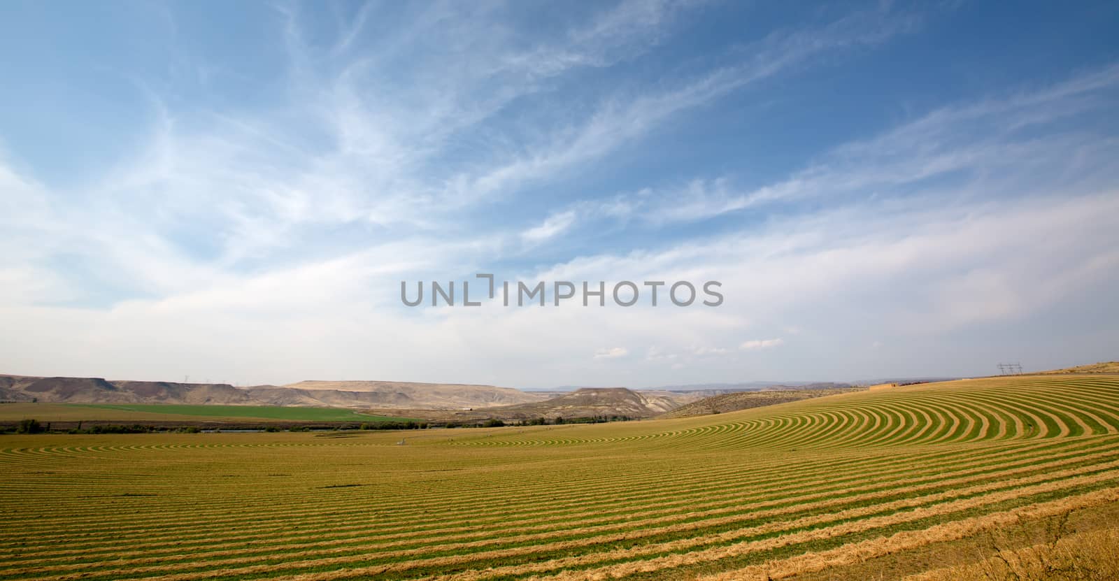 Scenic landscape of flat open countryside on a center pivot farm showing the alternate planting of the crop to allow for the rotation and movement of the trusses carrying the irrigation sprinklers