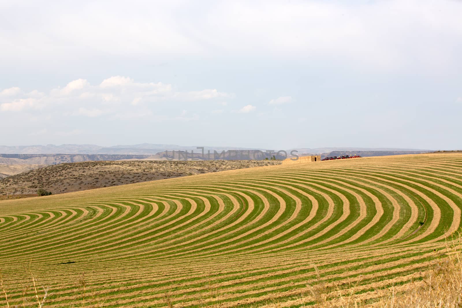 Center pivot irrigated farm showing a sloping field with alternating rows of planting with fallow to allow the rotation of the wheeled trusses carrying the sprinklers forming a curving pattern