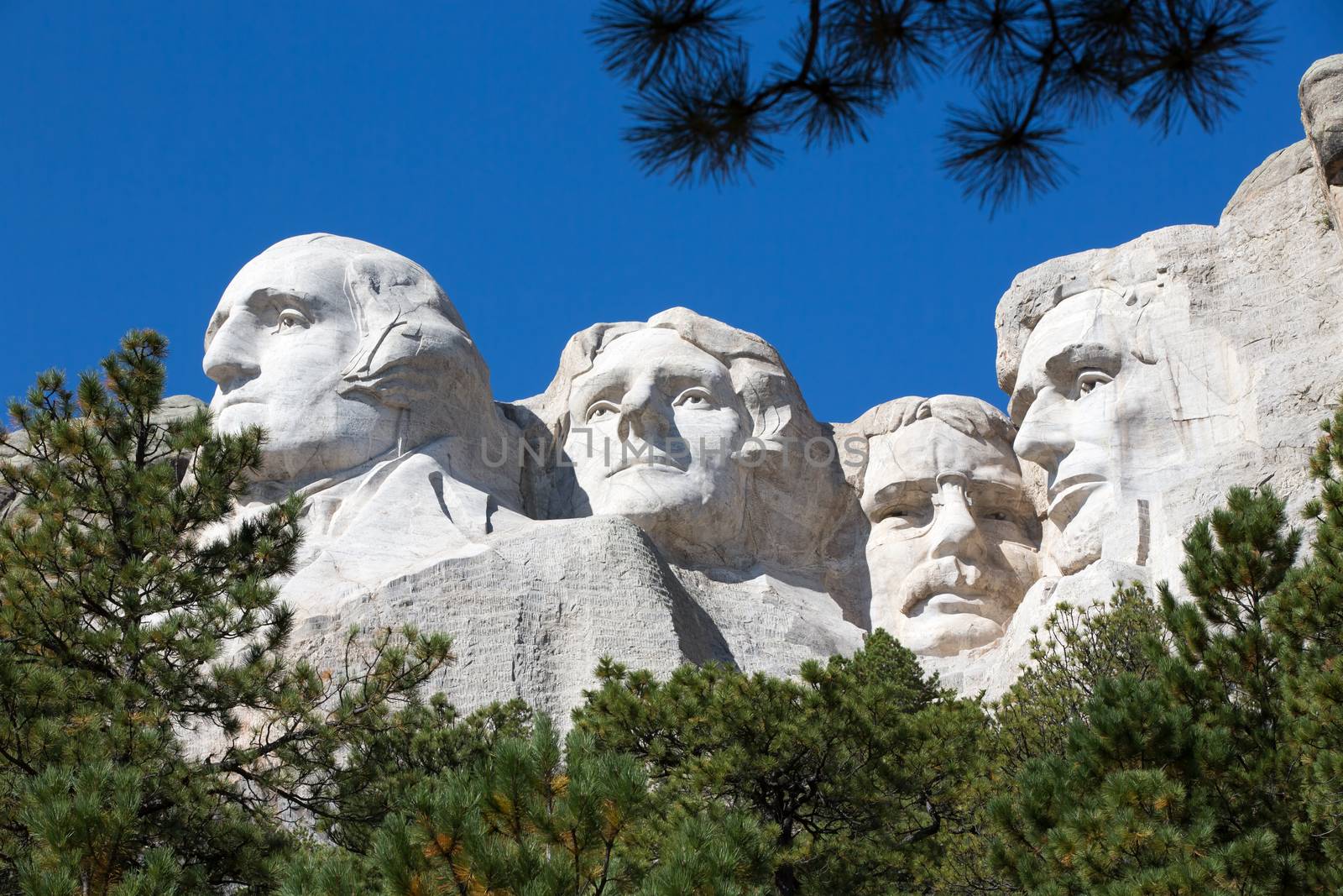 View up to the four Presidents faces - Lincoln, Roosevelt, Jefferson and Washington - sculpted into the granite rock on Mount Rushmore, South Dakota, USA framed by green pine trees against blue sky