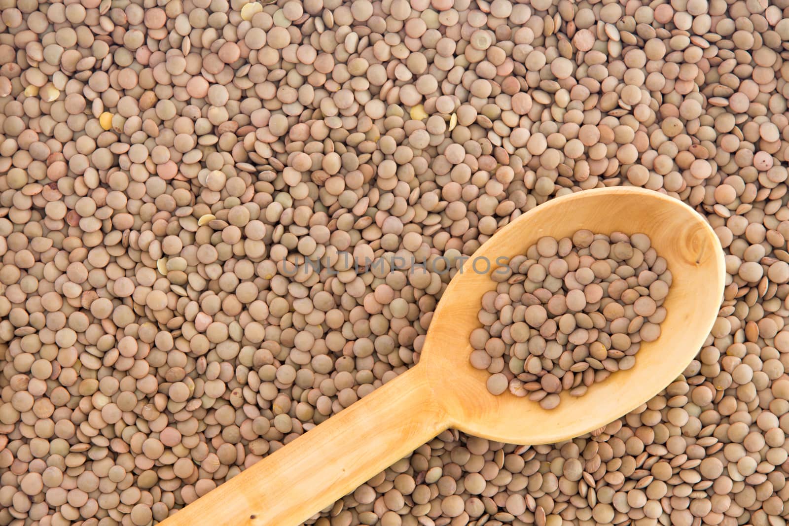 Spoonful of healthy dried brown lentils in a rustic wooden kitchen spoon, over a lentil background for a food, nutrition or cooking concept