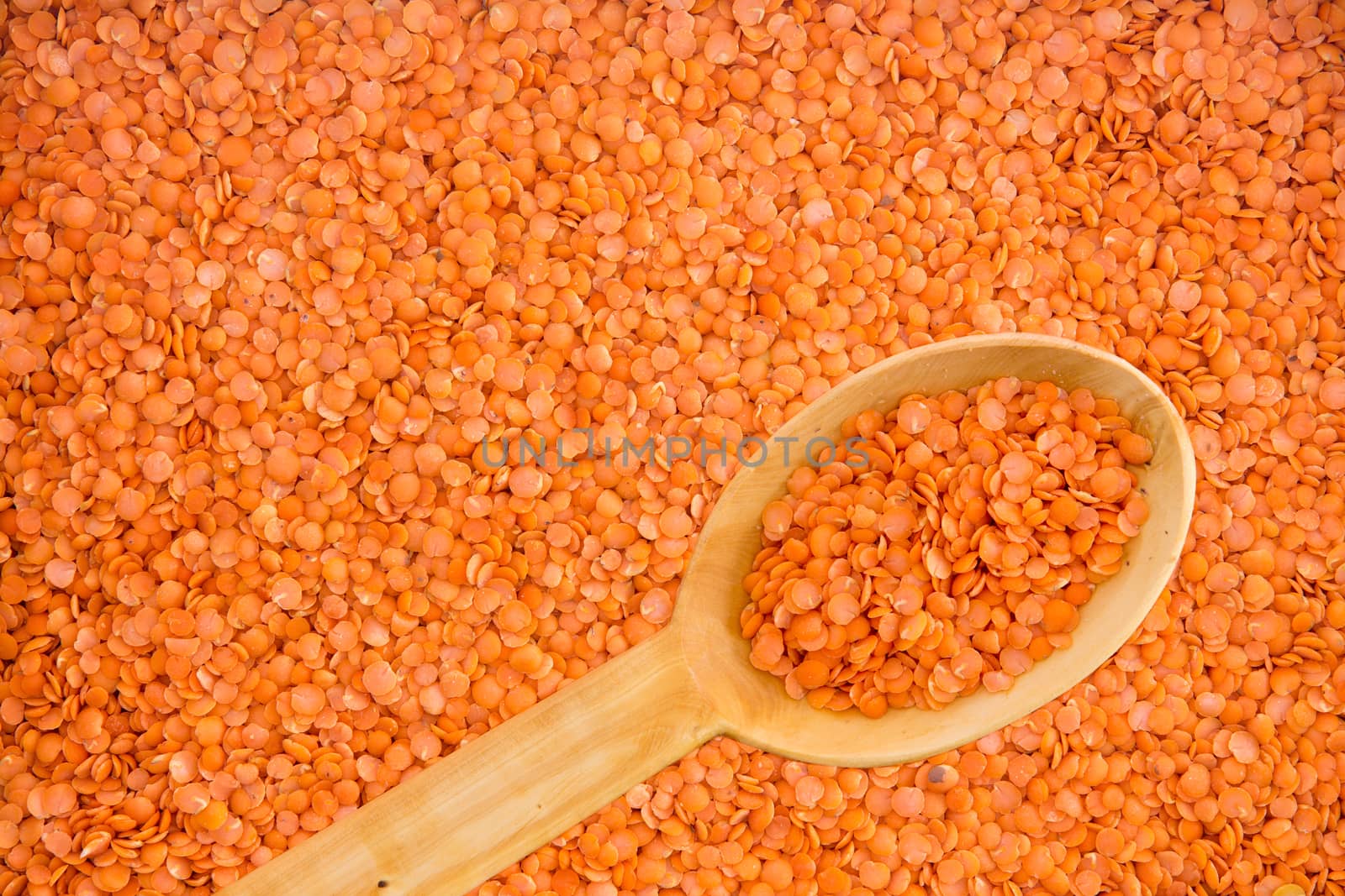 Background texture of dried red lentils, a healthy legume and pulse used in cooking, with an angled wooden spoon, overhead view