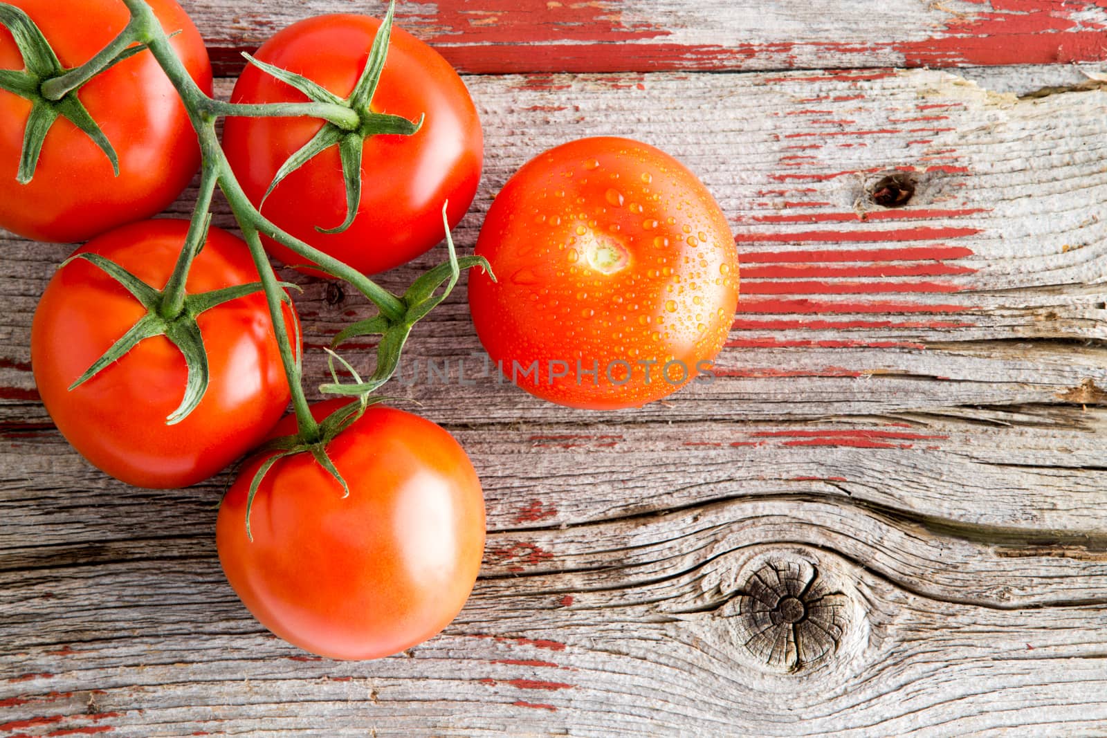 Fresh ripe tomatoes on the vine on a market shelf by coskun