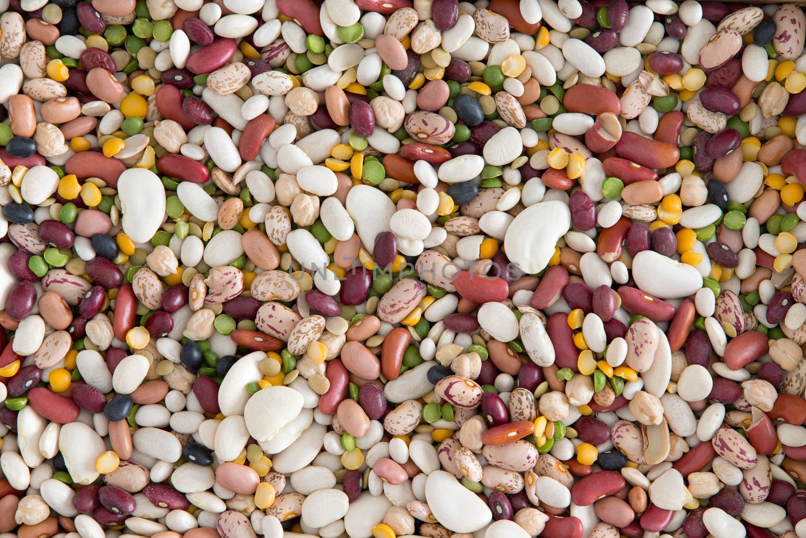 Background of 15 assorted beans and legumes by coskun