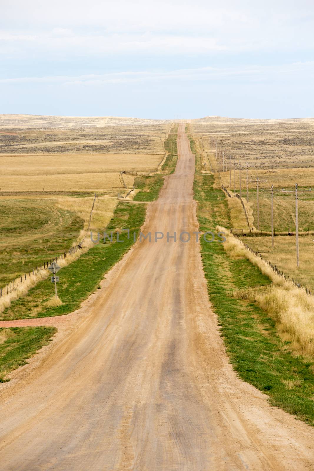 Long straight deserted dirt road in North Carolina, America disappearing into the distance of gently rolling undulating hilly terrain of the flat open plains