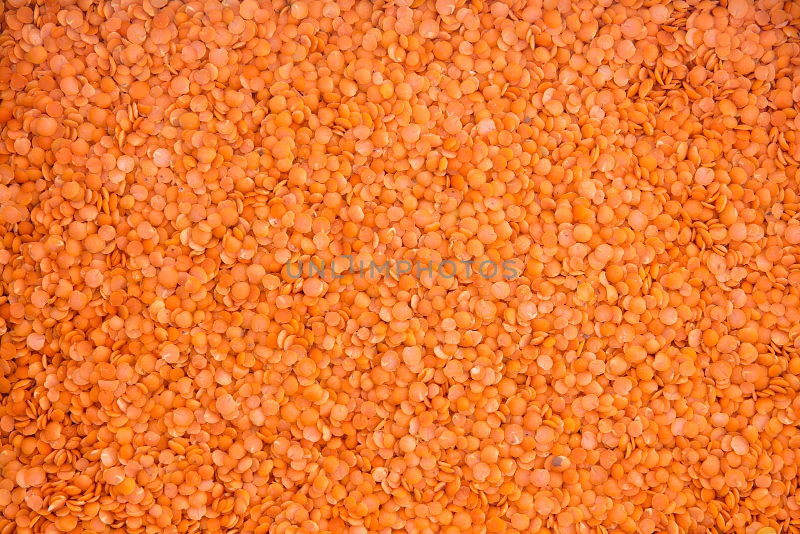 Food background of dried red lentil seeds, a nutritious legume popular in vegan and vegetarian diets