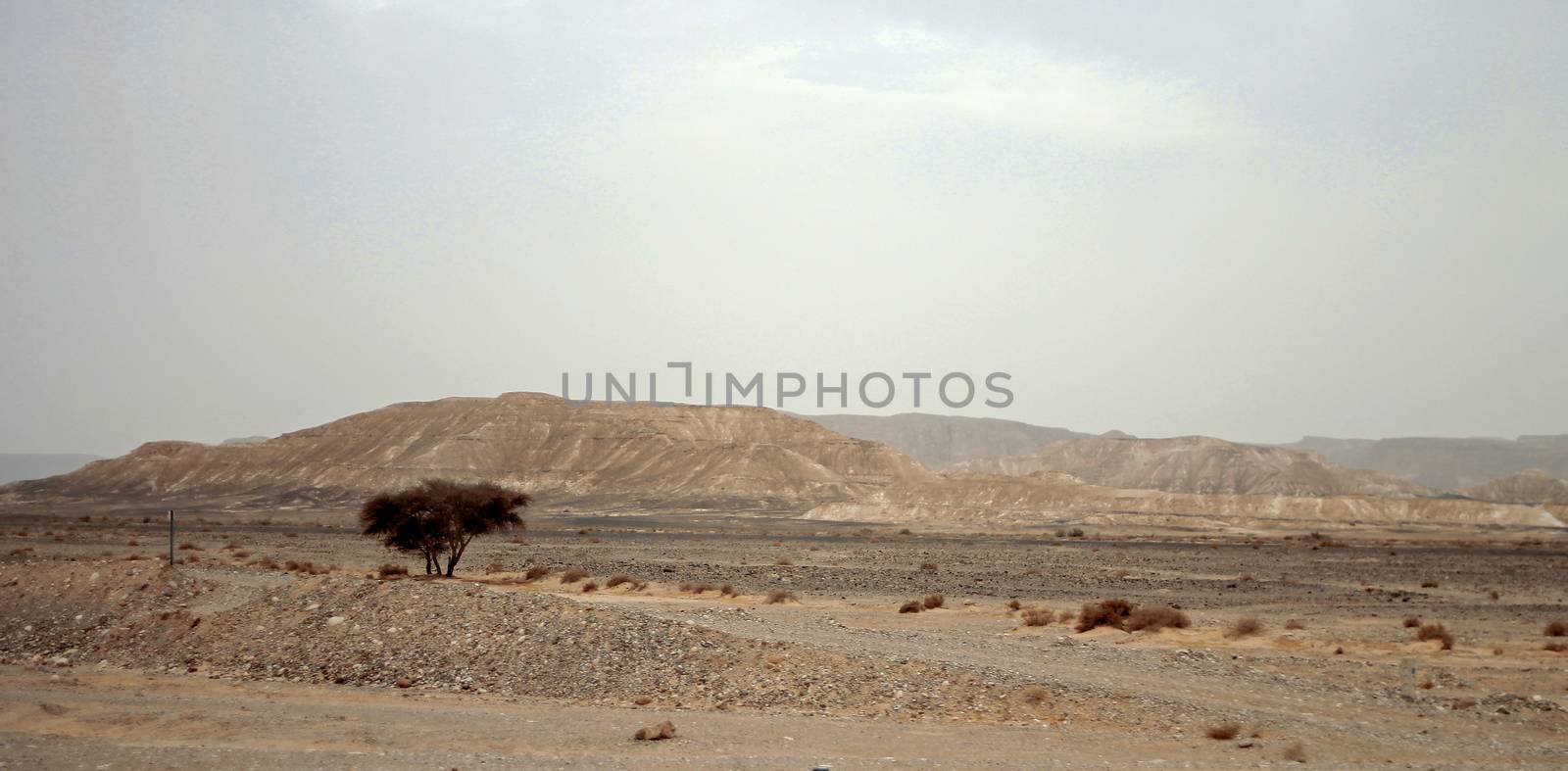 Egyptian Desert And Mysty Sky In The Daylight