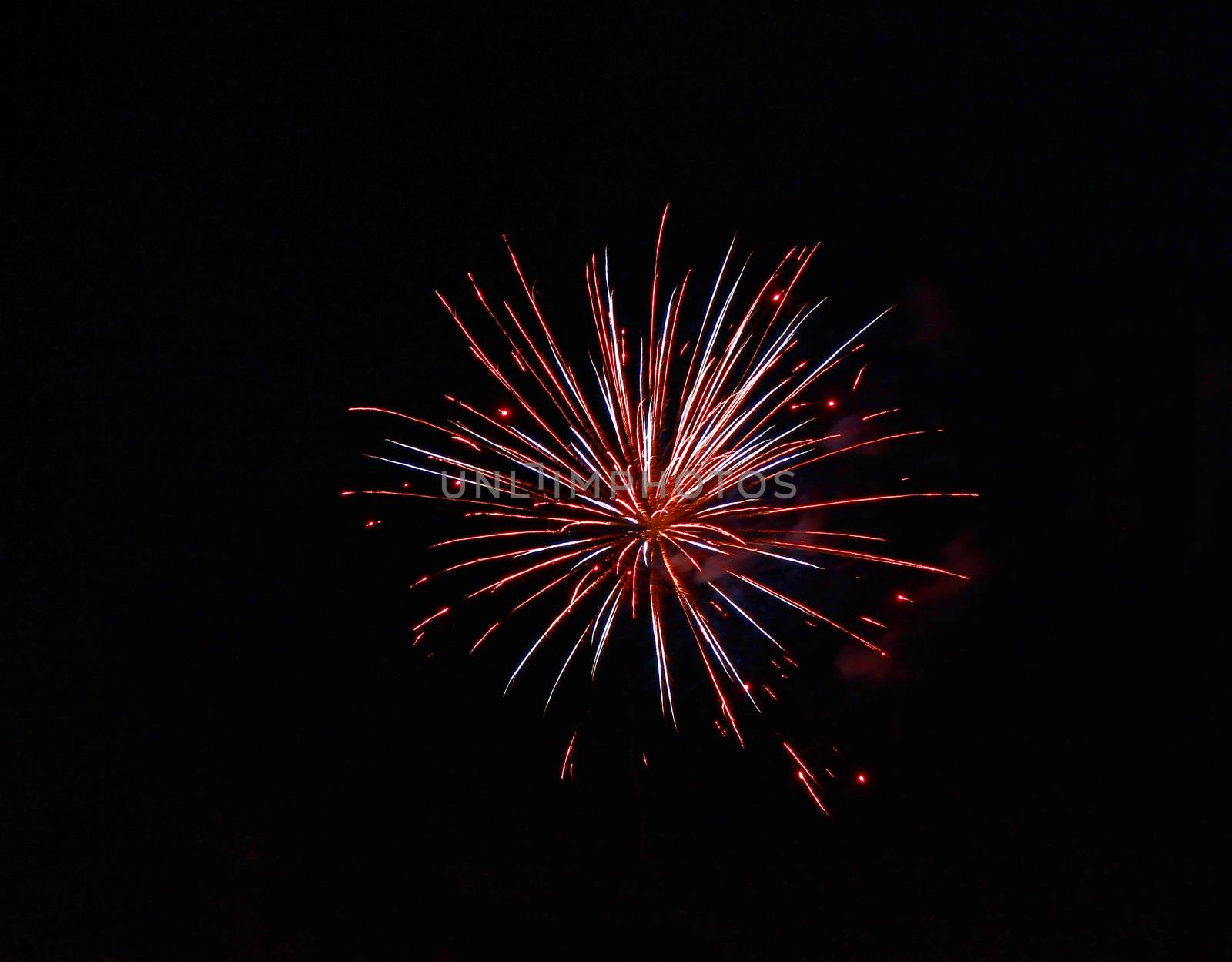 Celebration firework in the black night sky