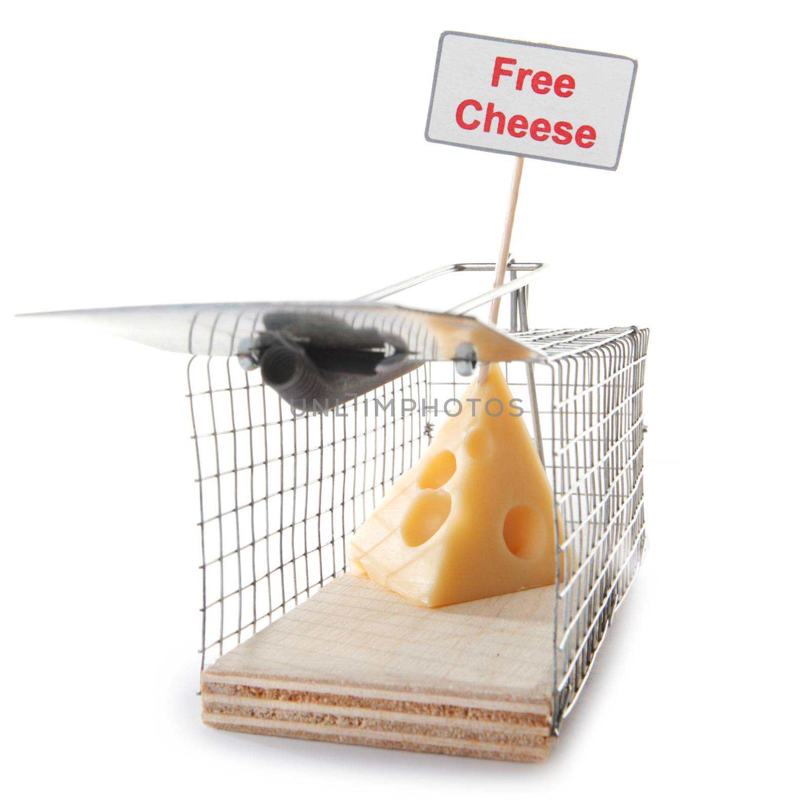Mousetrap with free cheese sign isolated on white, entrapment concept 