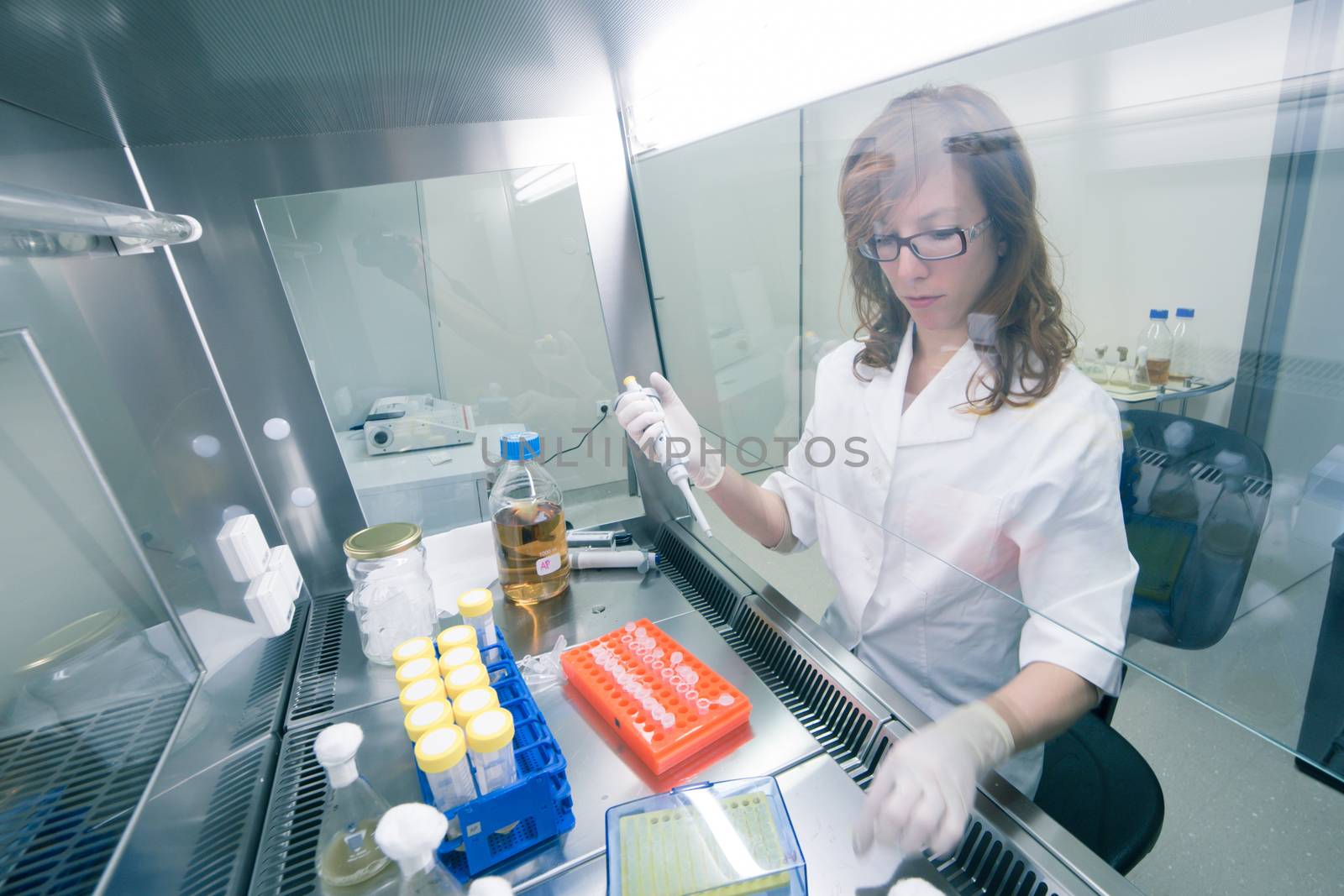 Female life scientist researching in laboratory, pipetting cell culture medium samples in laminar flow. Photo taken from laminar interior.