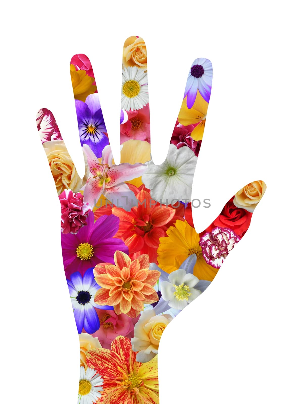 Flower hand by darrenwhittingham