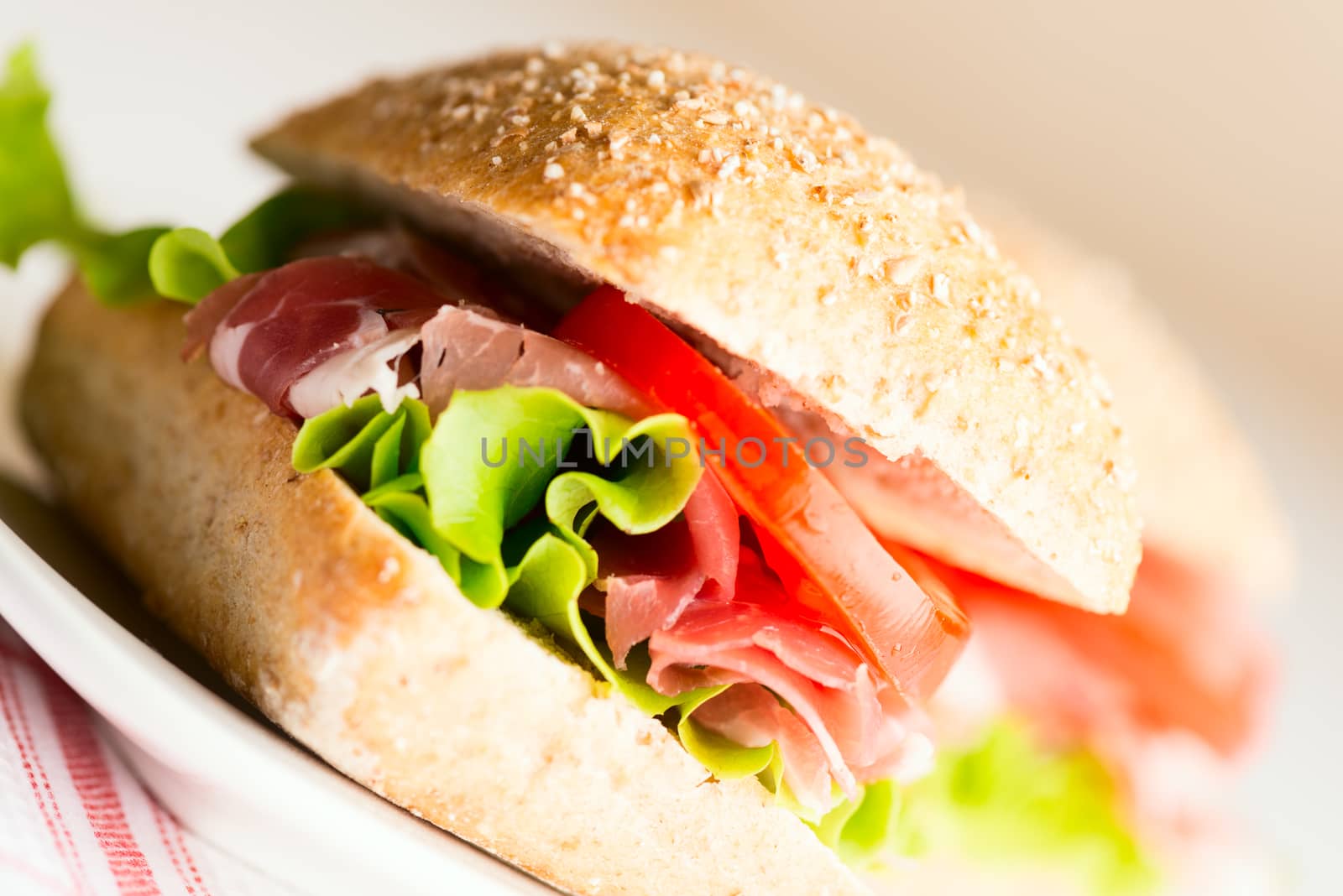 Prosciutto sandwich with tomato and arugula angled view by Nanisimova