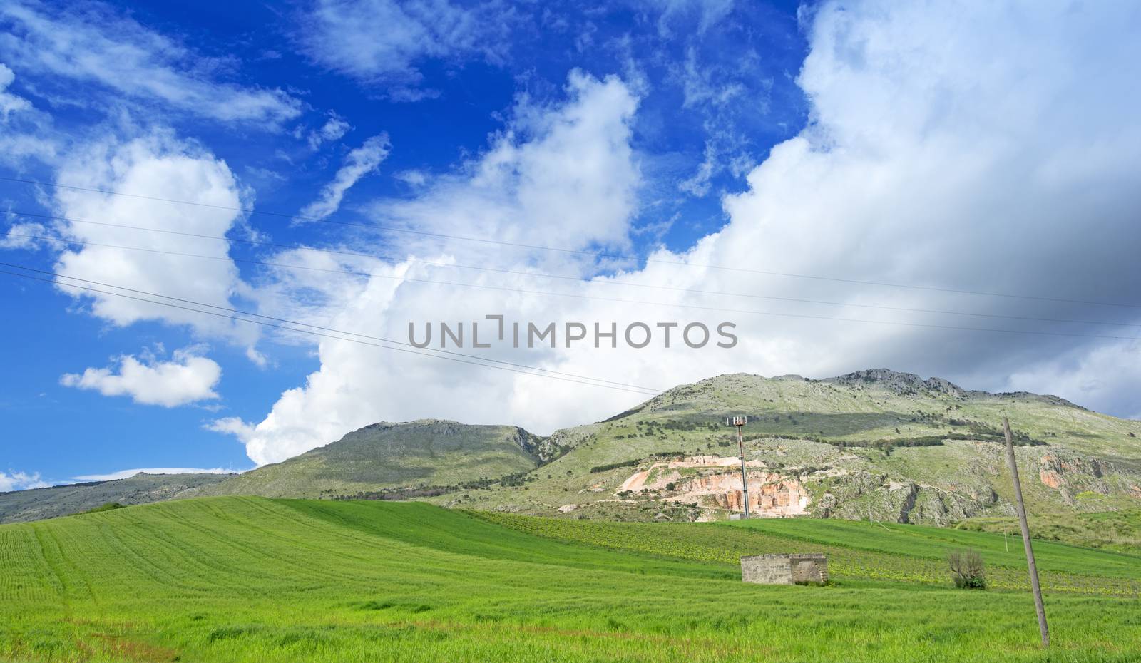 Meadow at Sicily by Nanisimova