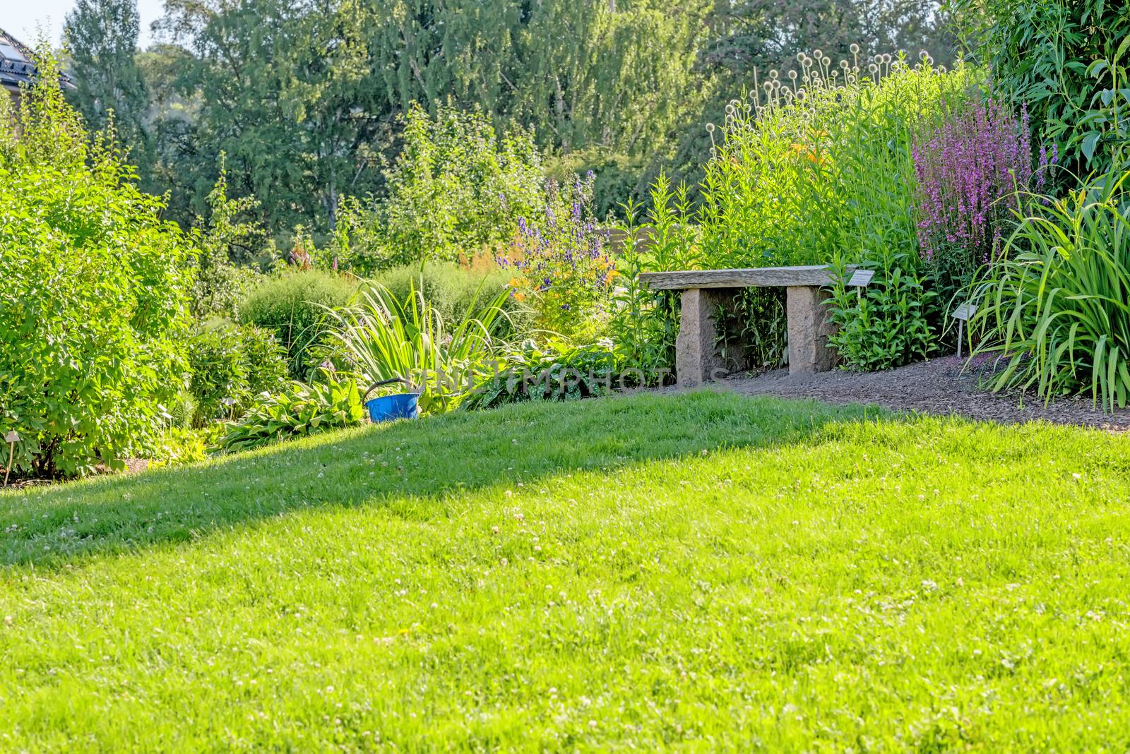 Stone bench in Oslo botanical garden