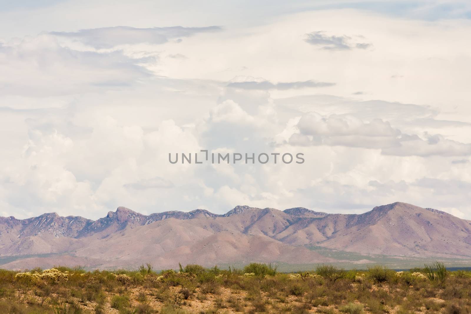 Thunderstorm clouds gathering above Arizona mountains in desert