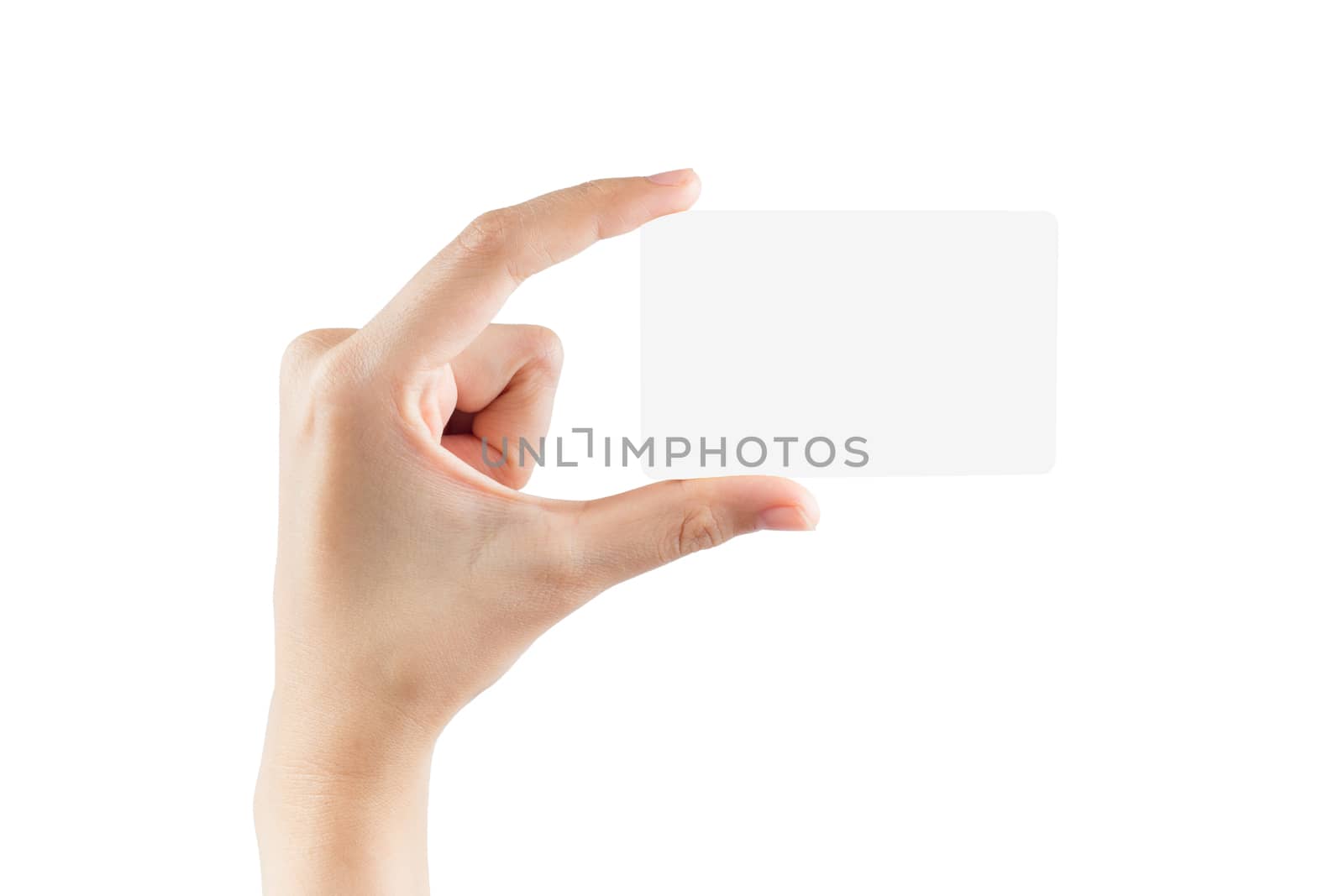 Female hand hold blank card by papound