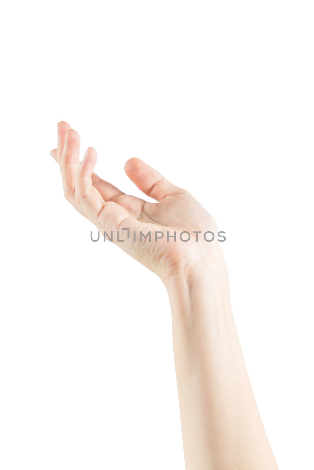 Empty female woman hand holding by papound