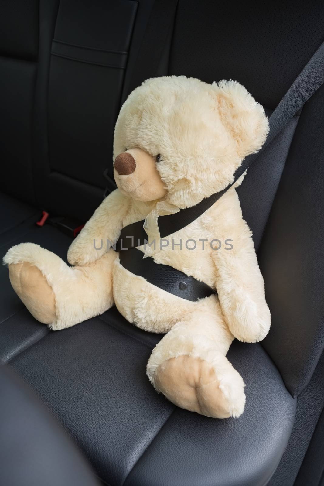 Teddy bear strapped in with seat belt in back seat of car
