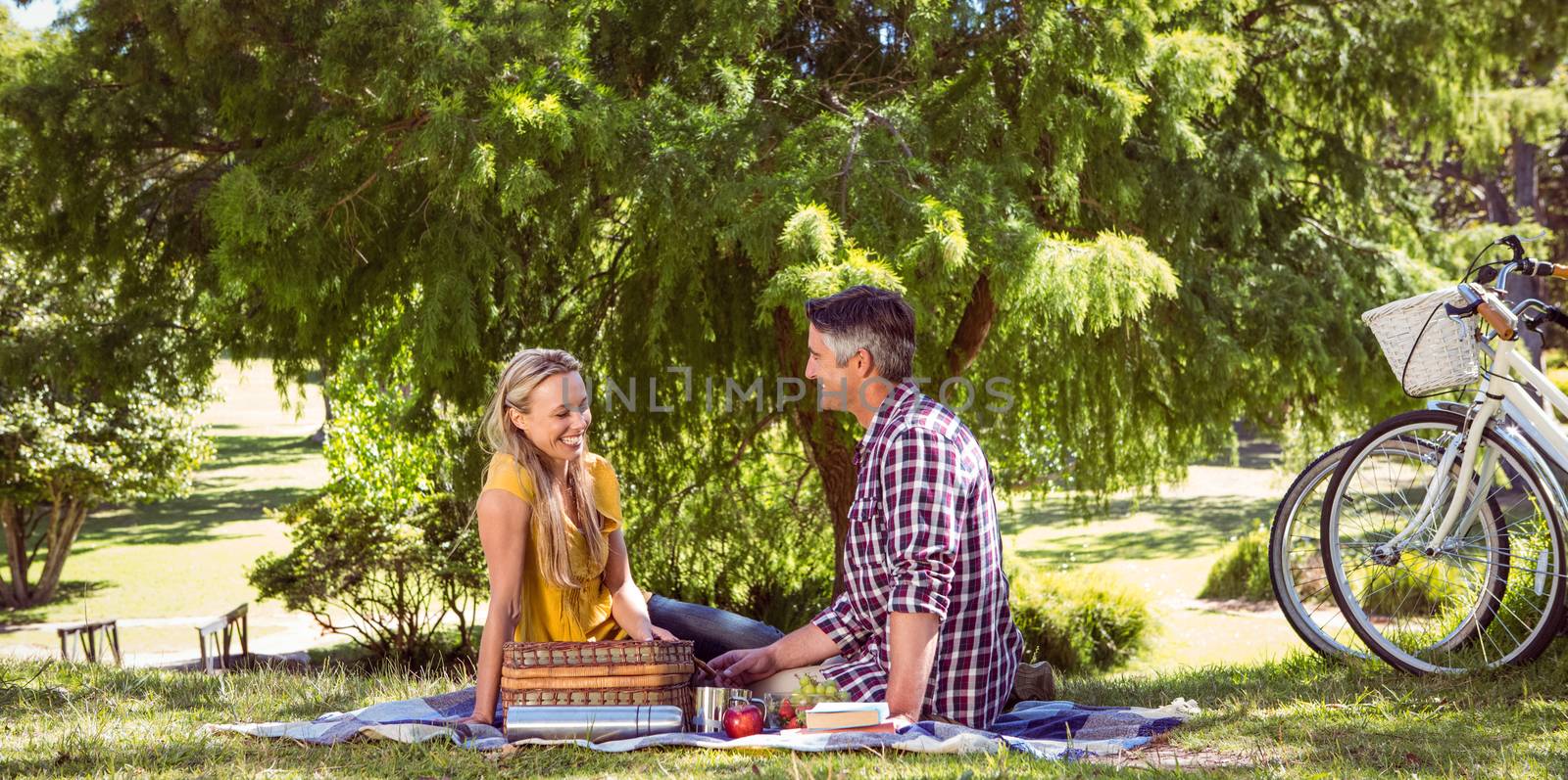 Couple having a picnic in the park on a sunny day