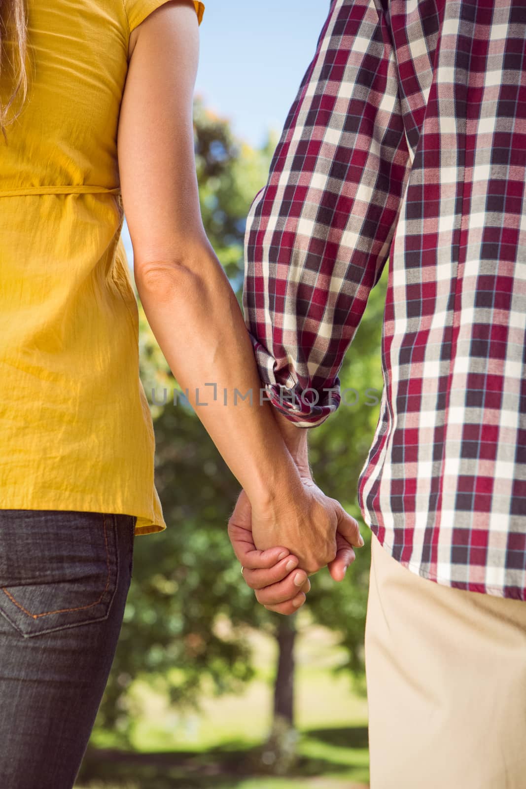 Couple holding hands in the park on a sunny day