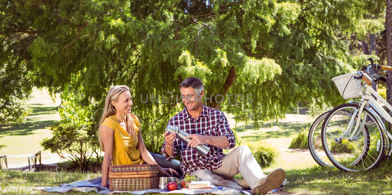 Couple having a picnic in the park by Wavebreakmedia