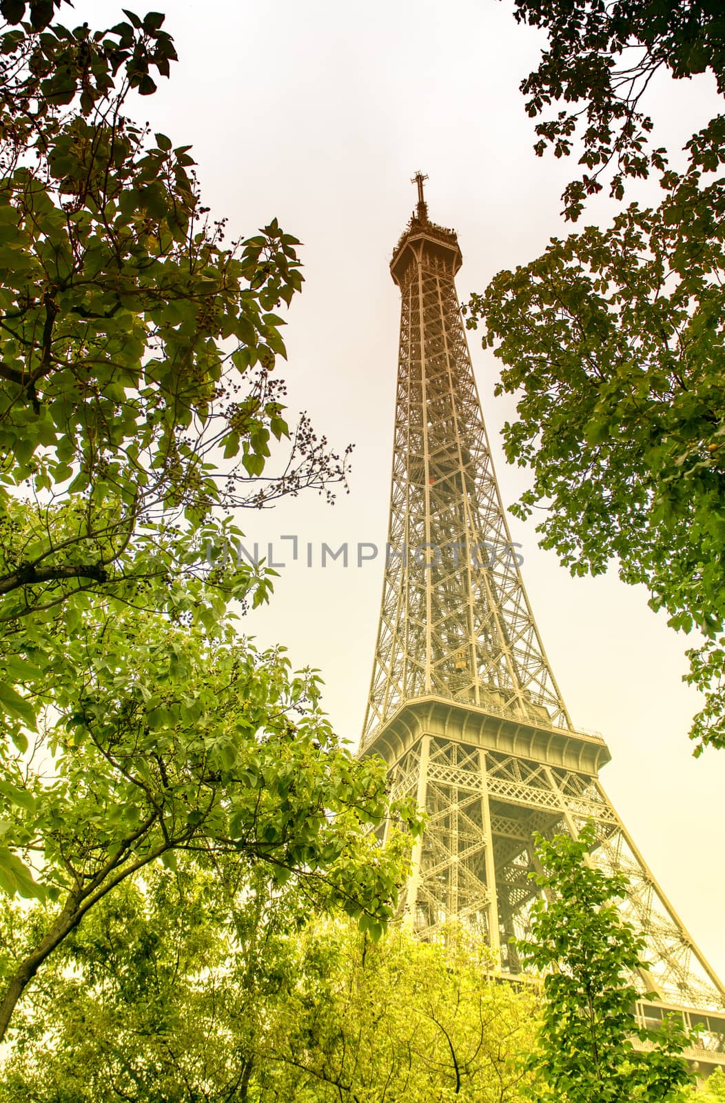 La Tour Eiffel, Paris. Landmark surrounded by trees in summer.