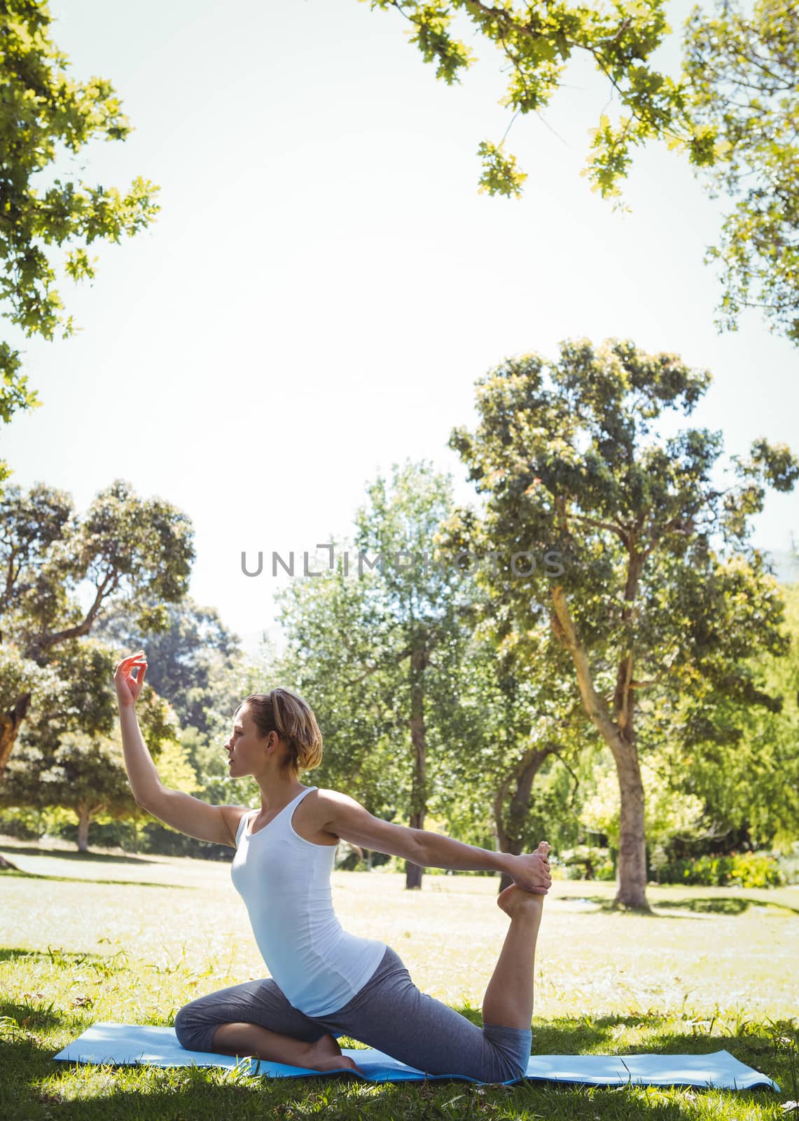 Fit woman doing yoga in the park on a sunny day
