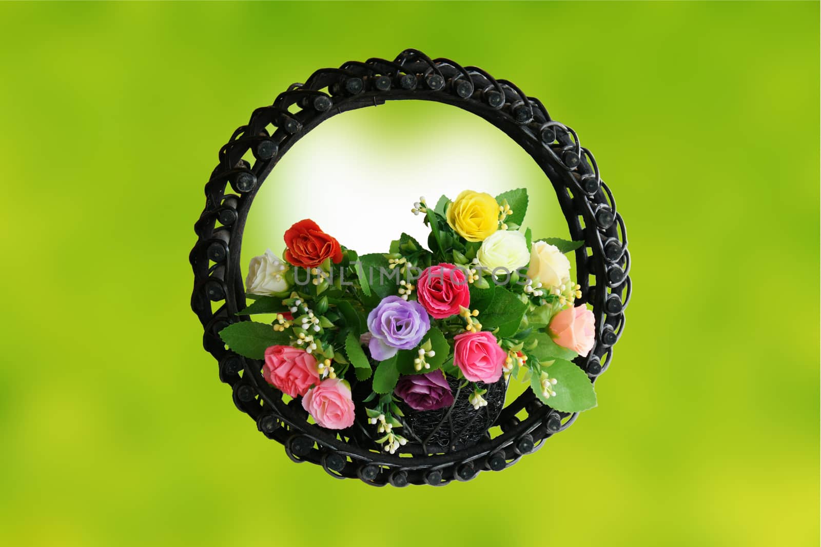 Rose basket on green background