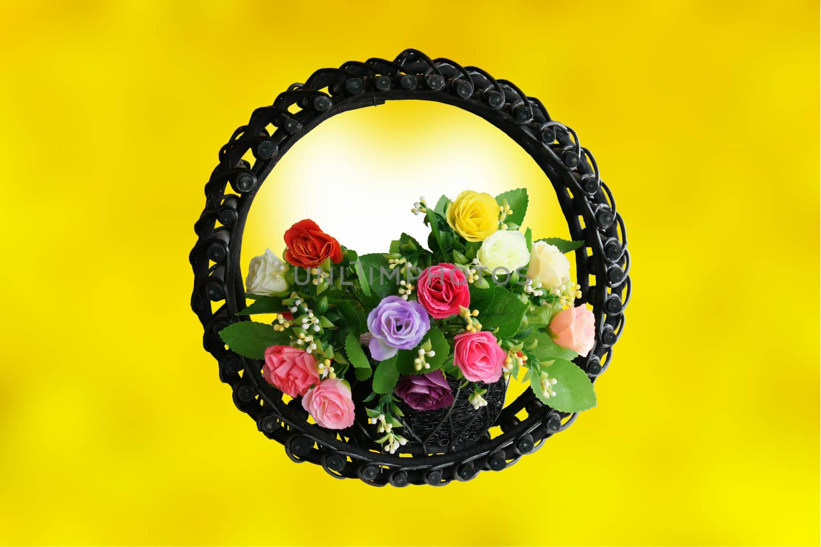 Rose basket on yellow background