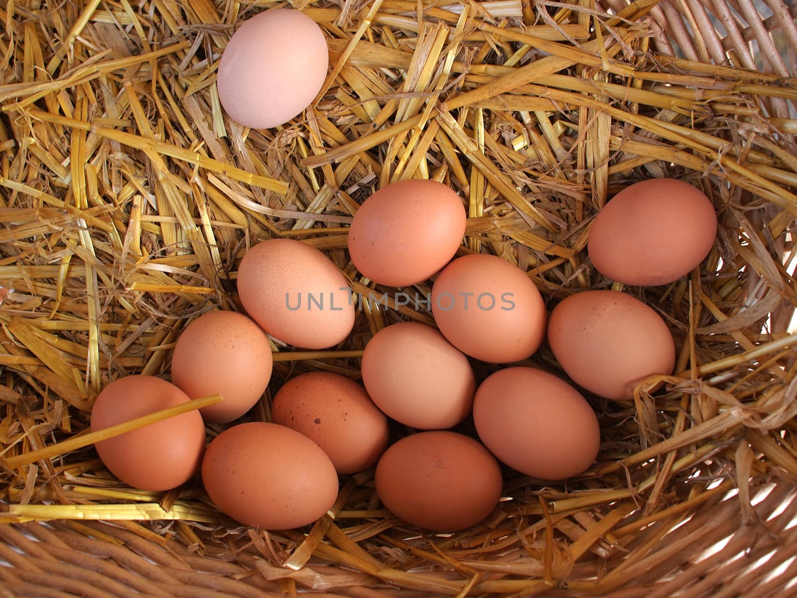 Fresh organic brown eggs basket in a market   
