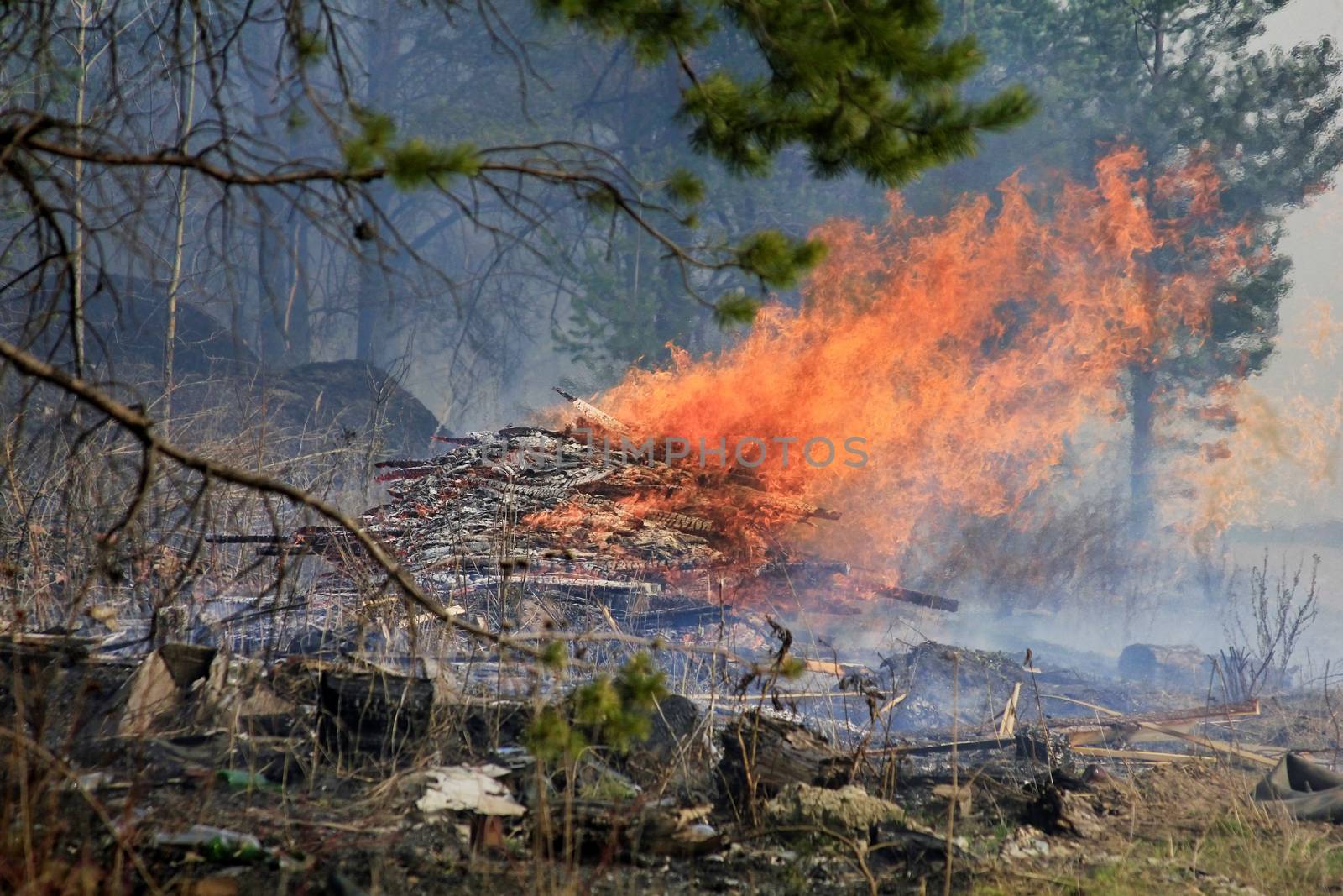 The image of a fire in a forest
