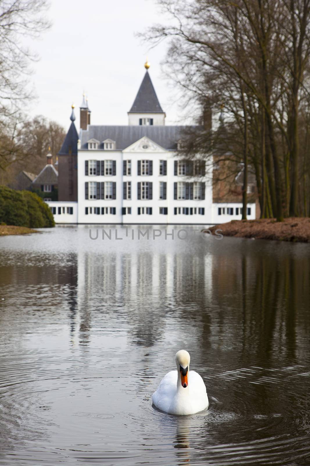 White swan with castle of Renswoude, The Netherlands