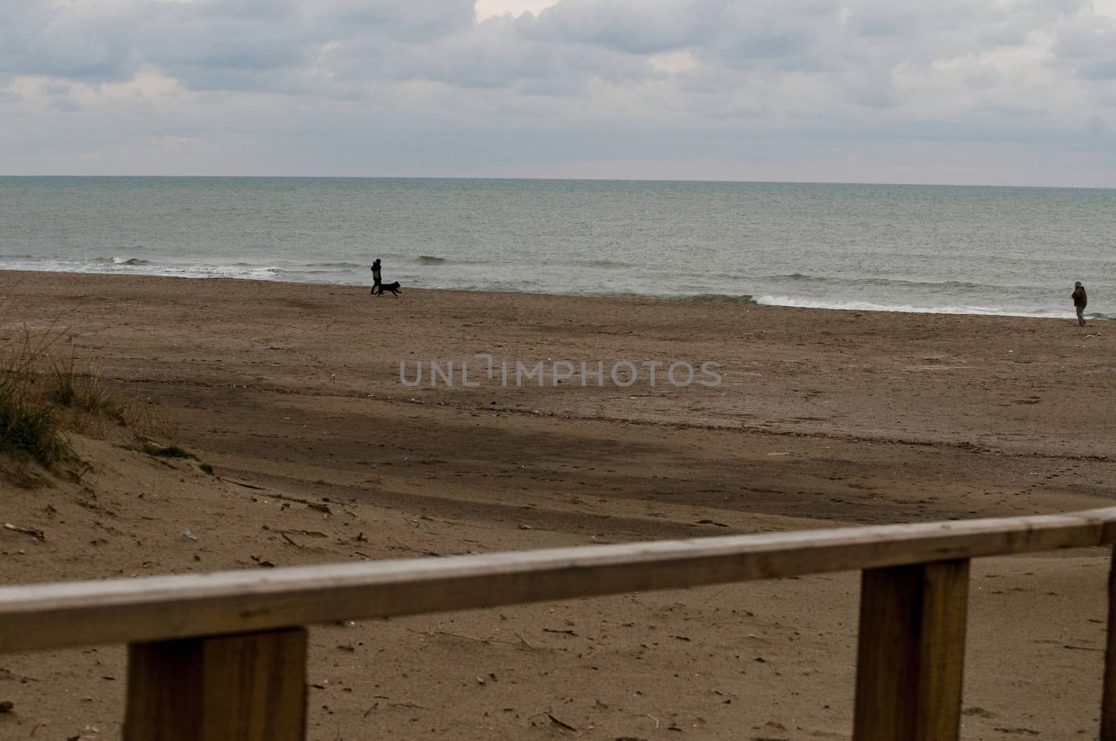 couple of guys in a public beach with dog in a winter morning