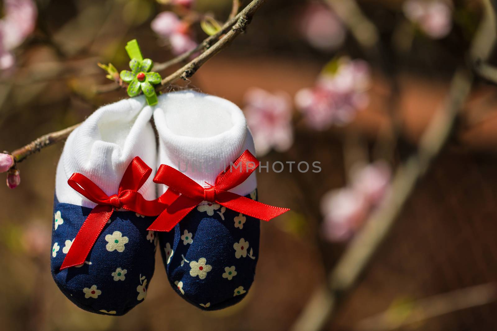 Baby slippers hanging on a branch of blossoming tree