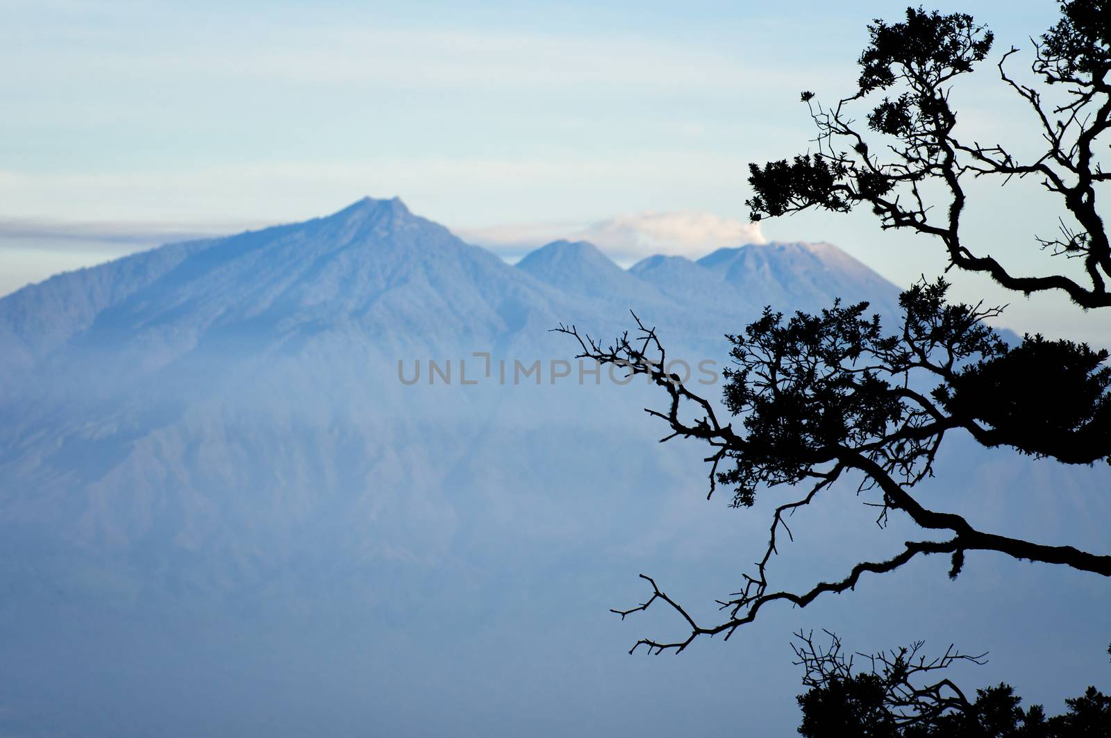 Bromo volcano in Indonesia by johnnychaos