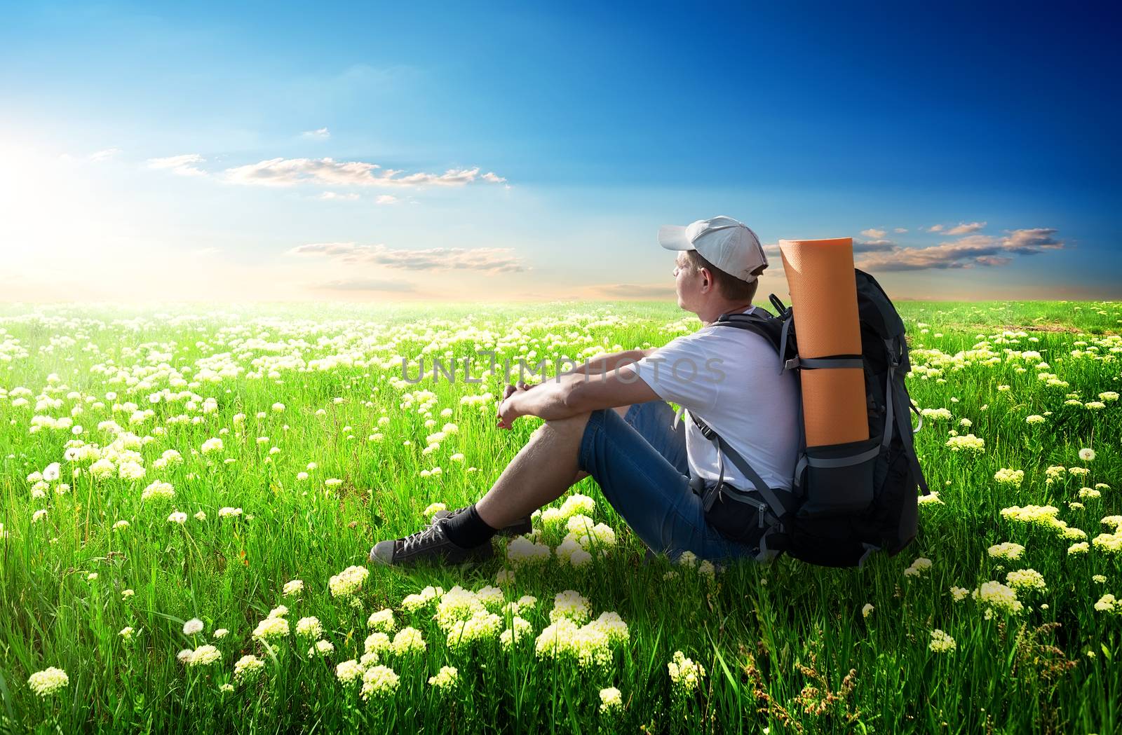 Tourist sitting on flower field at sunlight