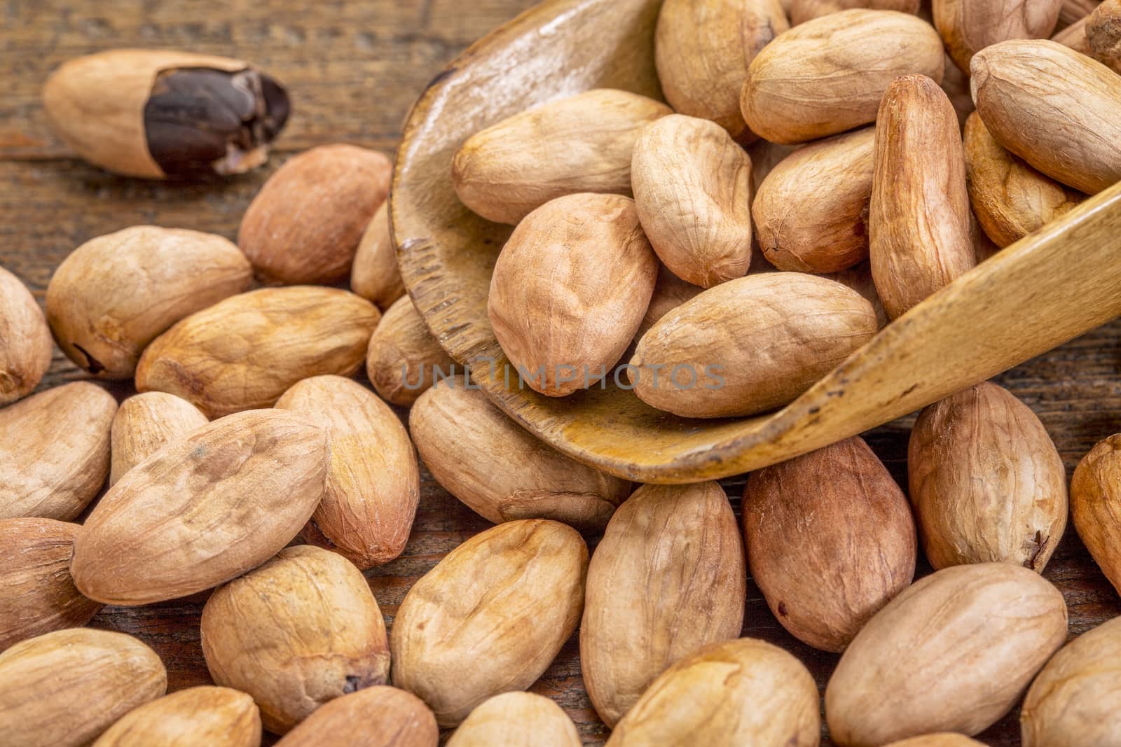 raw organic cacao beans on a rustic wooden scoop