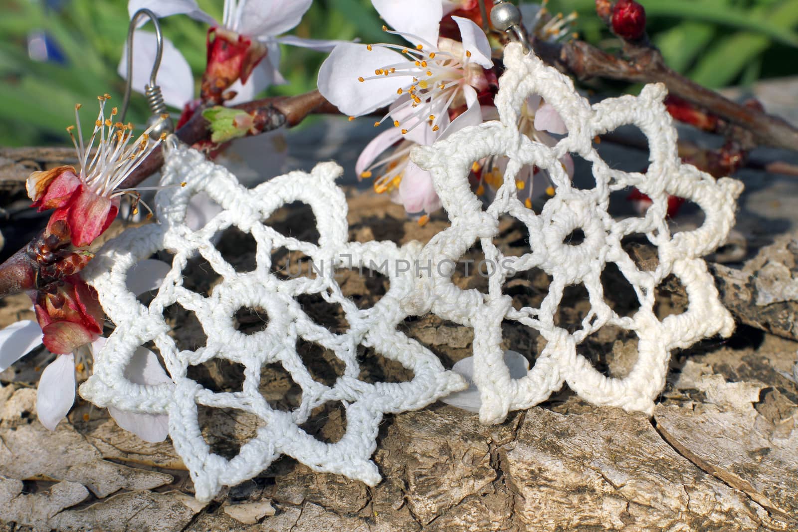 Handmade knitted white earrings with apricot blossom in spring on the nature background