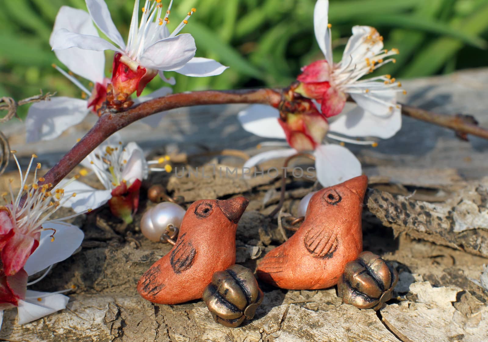 Handmade clay bird earrings with apricot blossom in spring on the nature background