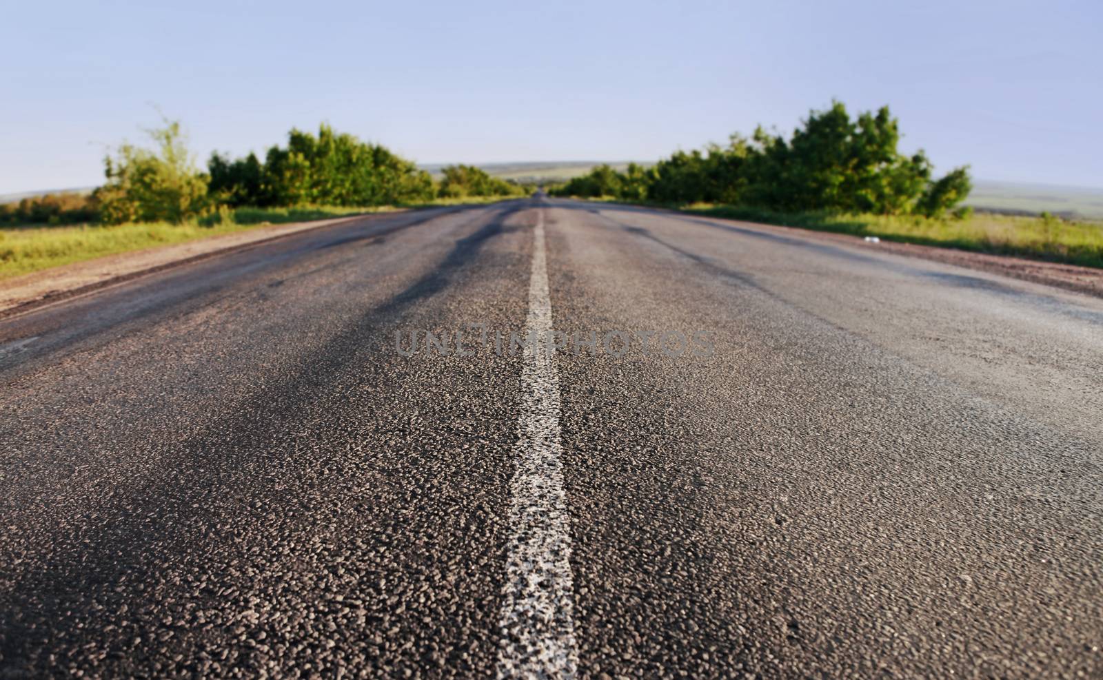 asphalt road through the green field on blue sky in summer day