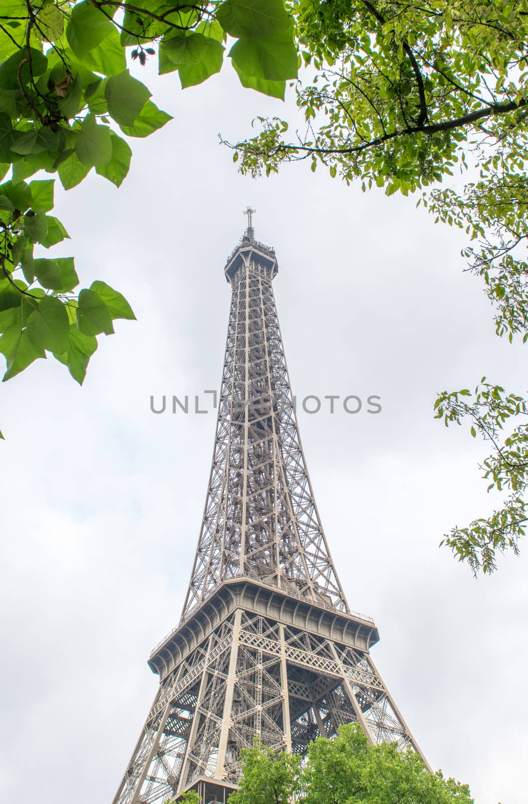 La Tour Eiffel, Paris. Landmark surrounded by trees in summer.