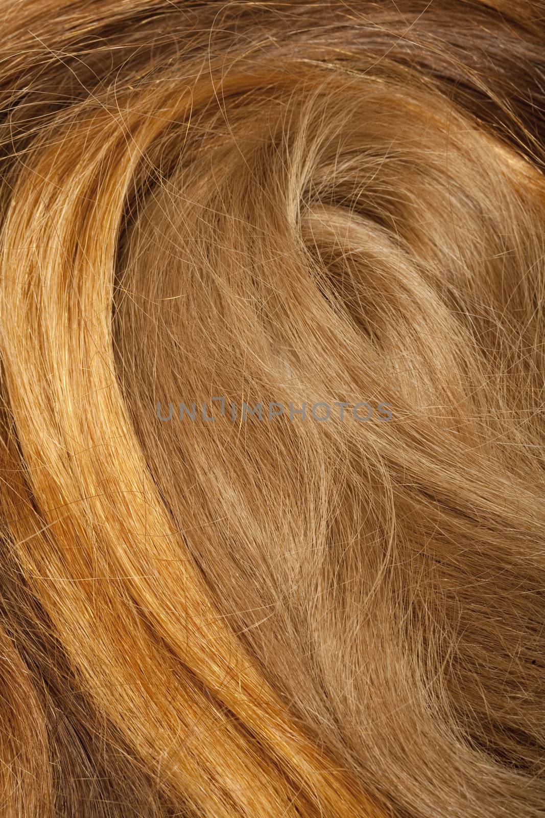 Real Human Hair Used for Production of Wigs