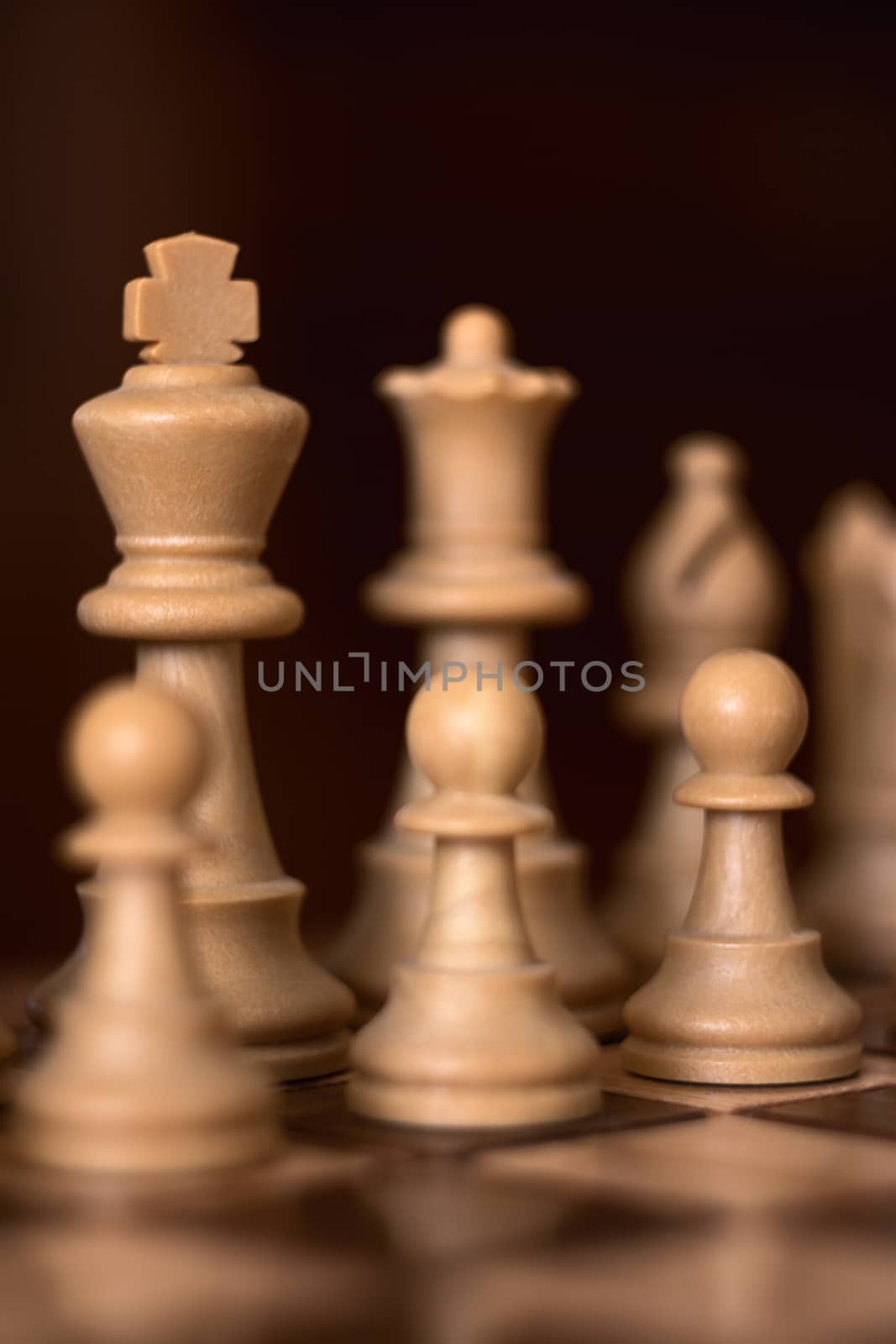 Pawns of chess in a row with the king in the foreground