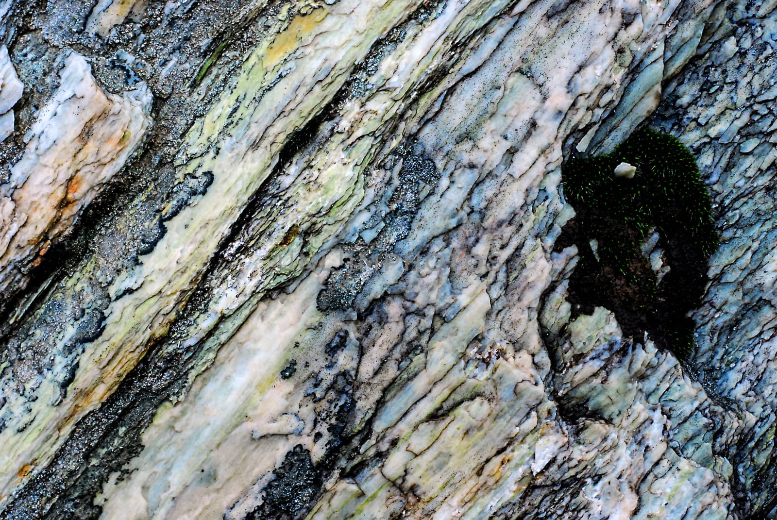 Picture of an old stone texture